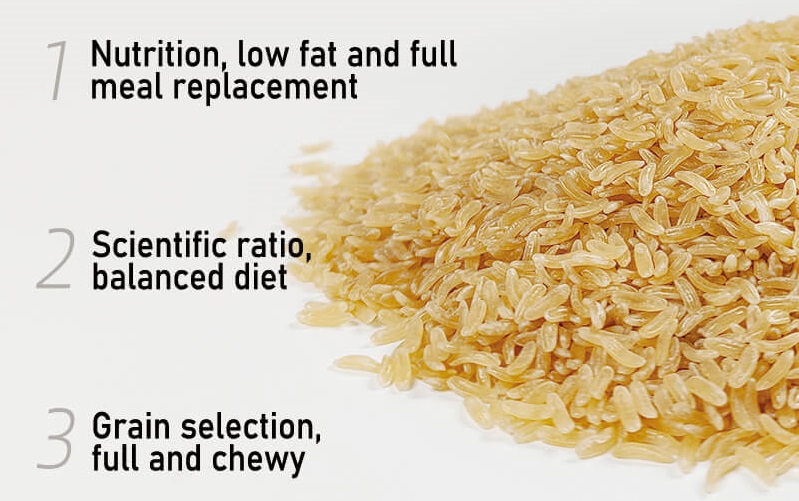 Dieta bilanciata e a basso contenuto di grassi con proporzioni scientifiche e cereali selezionati 2