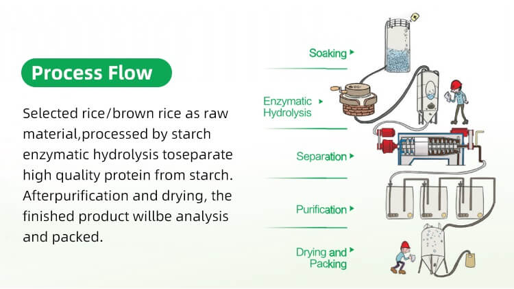 أرز الكونجاك المطبوخ مسبقًا عالي البروتين_تدفق العملية_04